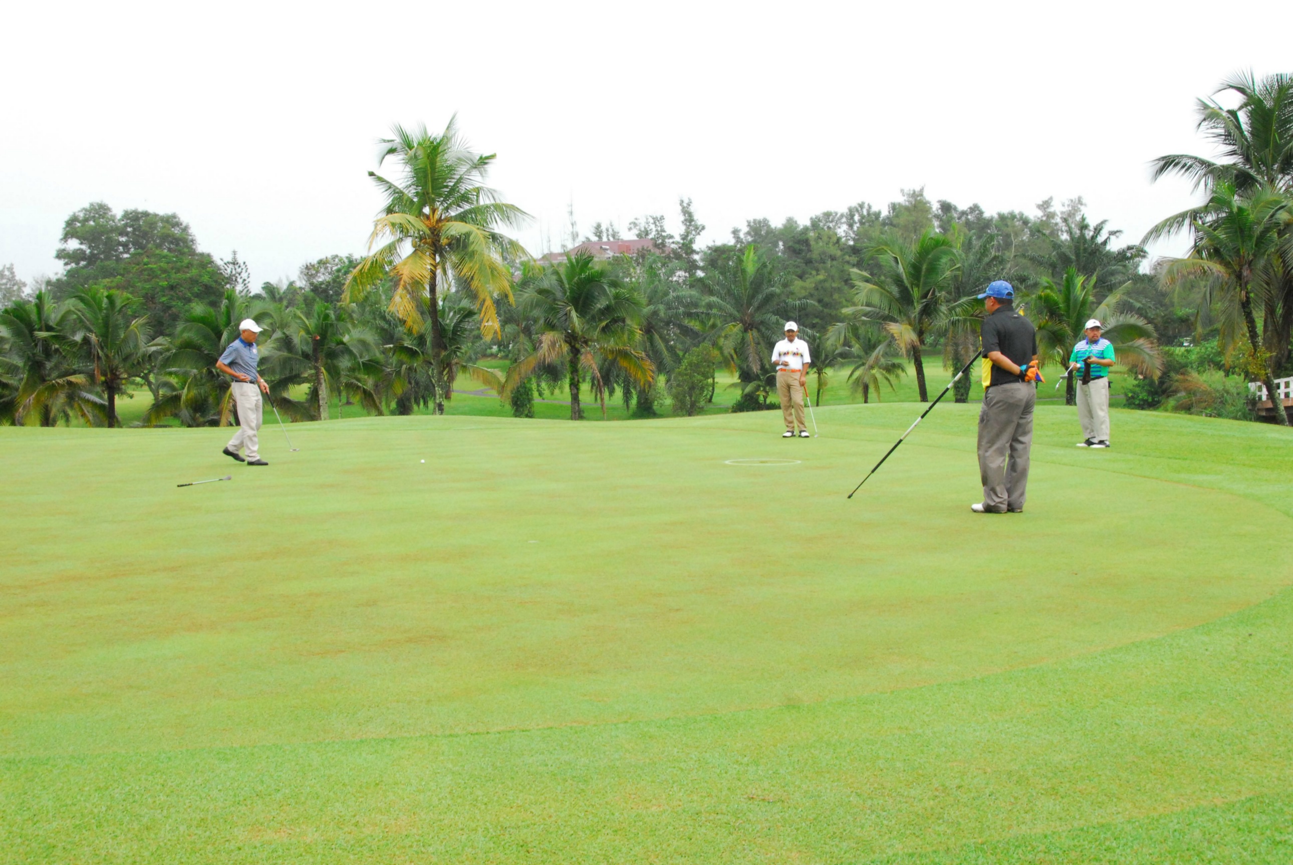 PRO15 157 GOLF DSC 0138.JPG